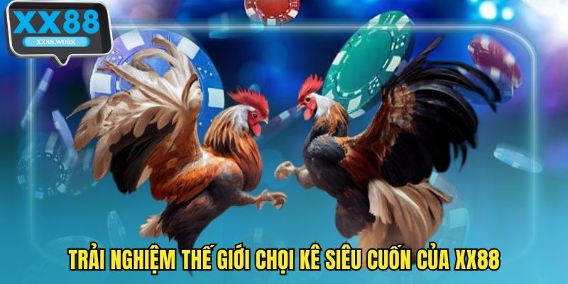 Trải nghiệm thế giới chọi kê siêu cuốn của XX88