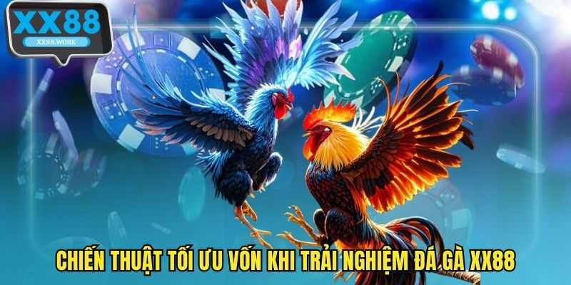 Chiến thuật tối ưu vốn khi trải nghiệm đá gà XX88