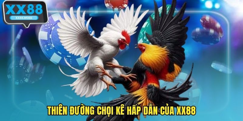 Thiên đường chọi kê hấp dẫn của XX88