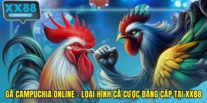 Gà Campuchia online