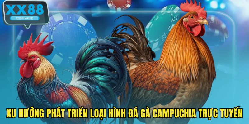Xu hướng phát triển loại hình đá gà Campuchia trực tuyến