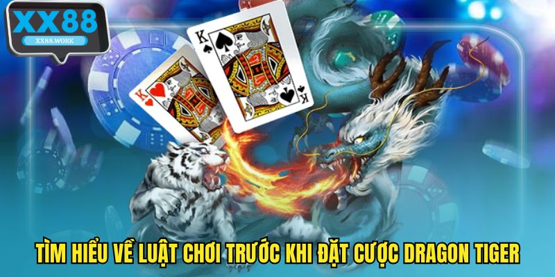 Tìm hiểu về luật chơi trước khi đặt cược Dragon Tiger