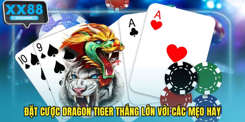 Đặt cược Dragon Tiger thắng lớn với các mẹo hay