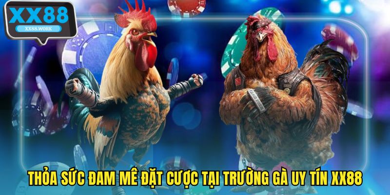 Thỏa sức đam mê đặt cược tại trường gà uy tín XX88