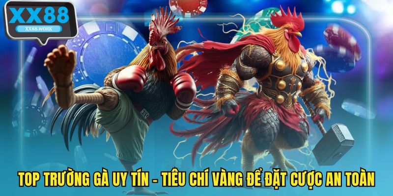Top trường gà uy tín