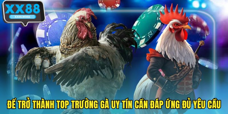 Để trở thành top trường gà uy tín cần đáp ứng đủ yêu cầu