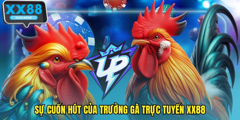 Sự cuốn hút của trường gà trực tuyến XX88