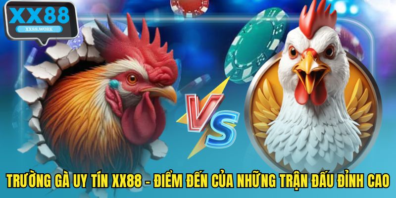 Trường gà uy tín